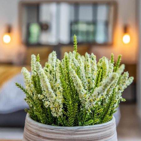 Appartamento Garesc Lofts Cordova Esterno foto