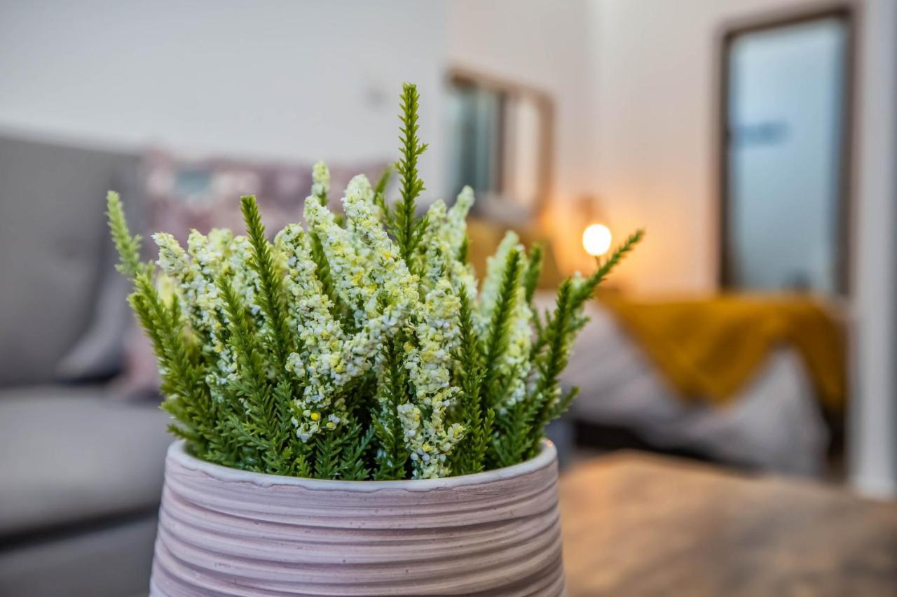 Appartamento Garesc Lofts Cordova Esterno foto